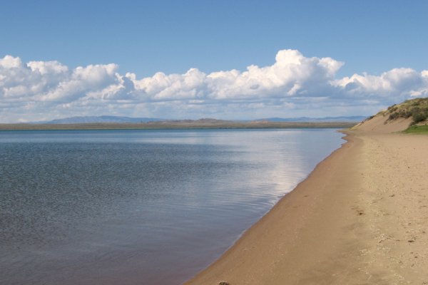 Ссылка на сайт кракен в тор