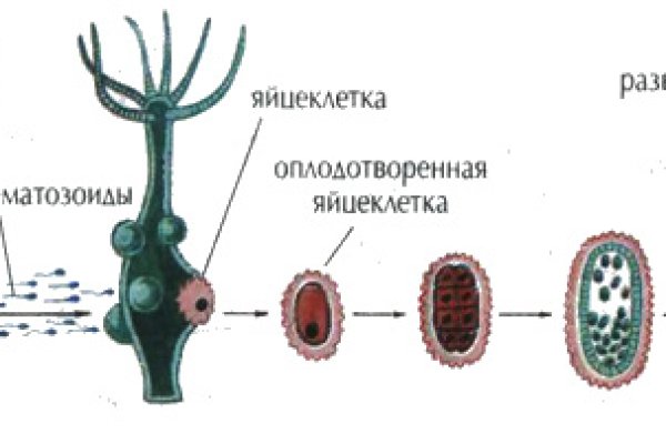 Kraken 2krn at