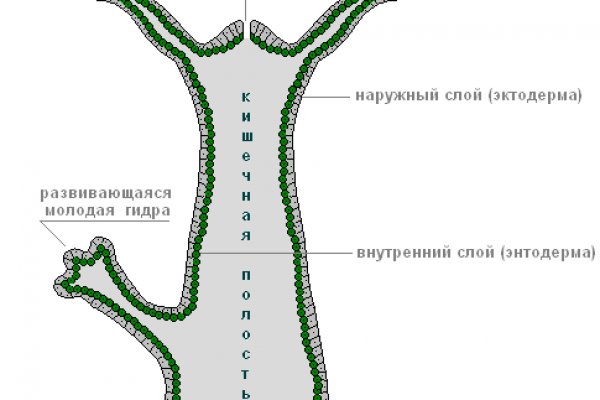 Что такое кракен в даркнете